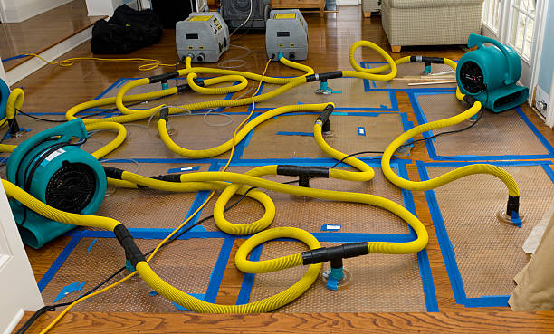 Professional Basement Flood Cleanup technician working in Nallen, WV