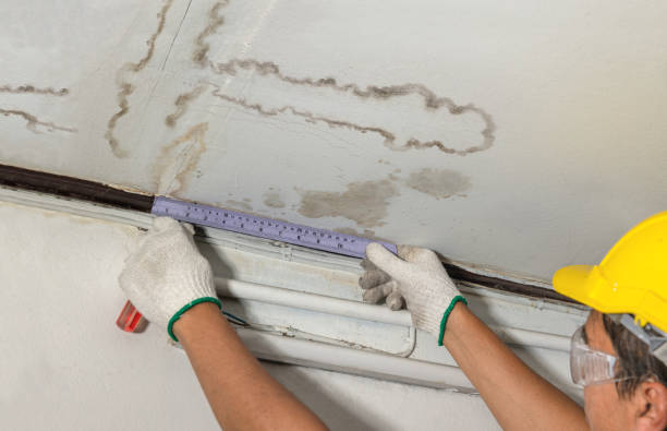 Affordable Water Damage Repair solutions in Nallen, WV